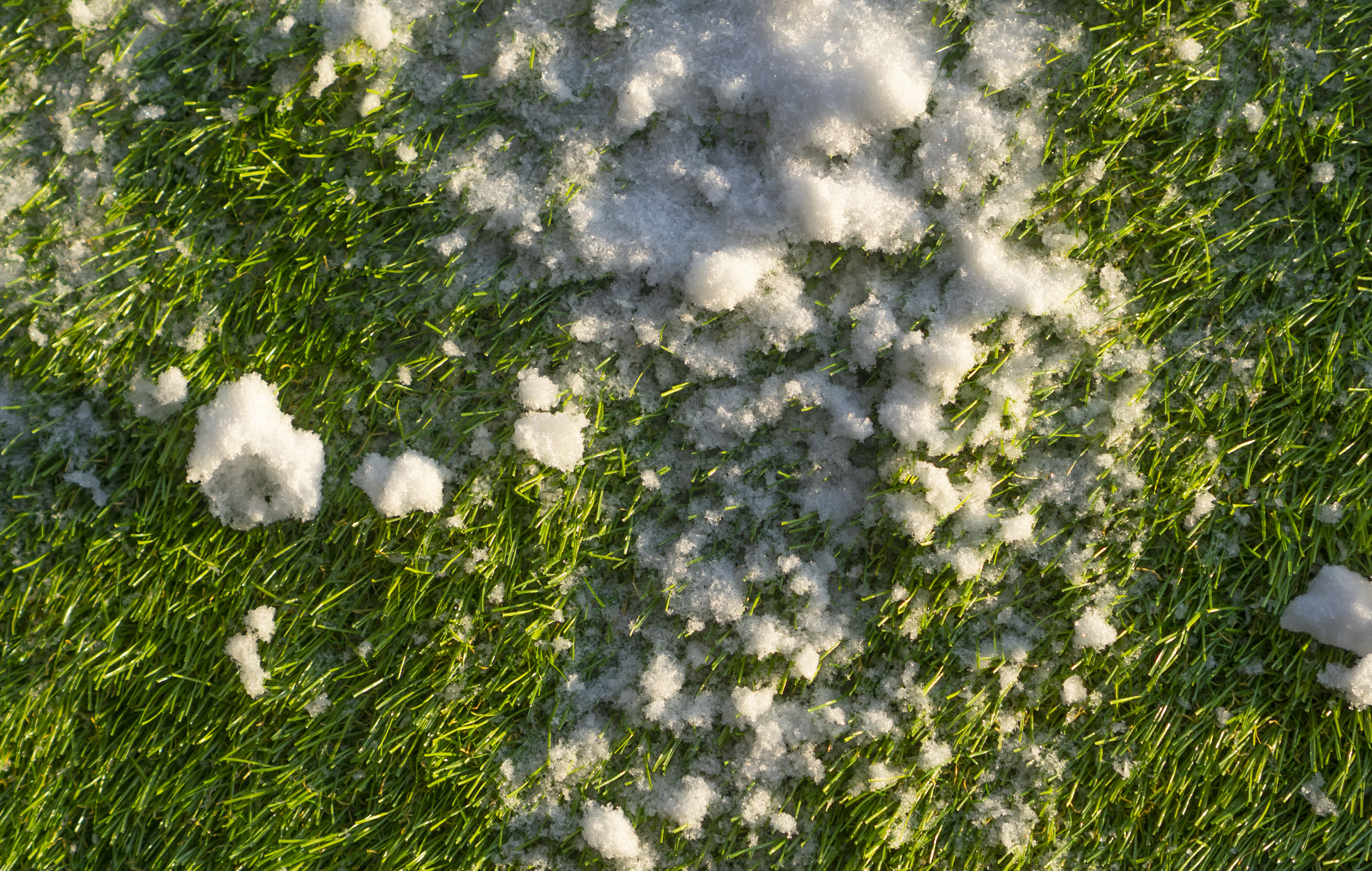 What to Know about Winter Synthetic Lawn Maintenance